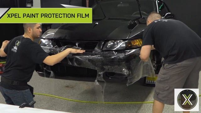 2003 FORD MUSTANG SVT COBRA RECEIVES XPEL PPF, WINDOW TINT, GTECHNIQ CSL CERAMIC COATING смотреть онлайн