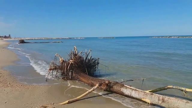 ✅Италия /Завтрак /Развод По-Итальянски /Как Быть /Влог смотреть онлайн