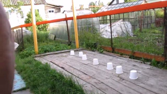 Дрессировка Гайды на поиск предмета смотреть онлайн