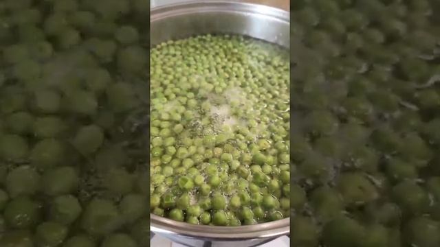 Домашние Животные и Их Уход