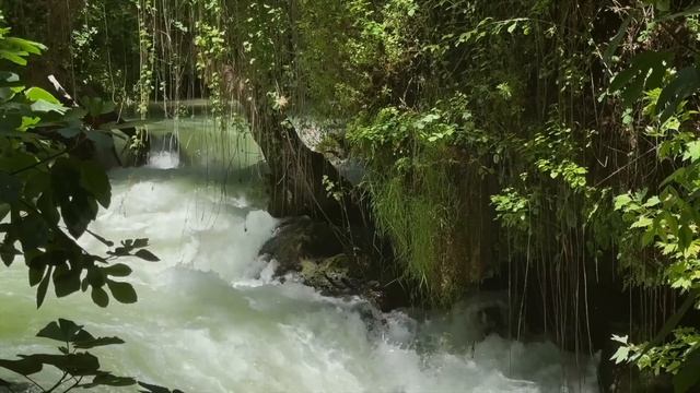 Жена была возмущена тем, что сестра мужа и свекровь приехали без предупреждения и начали командоват смотреть онлайн
