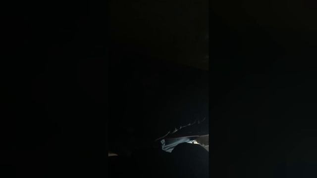 Container in open sea full video смотреть онлайн