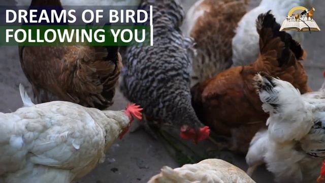 DREAMS OF BIRD FOLLOWING YOU - Meaning of Birds Flying Towards You смотреть онлайн