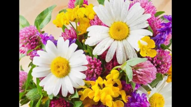 Посвящаю Одноклассникам,одношкольникам моим! смотреть онлайн