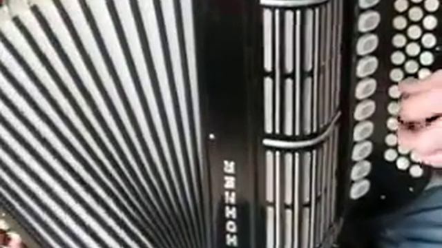 Handharmonika Hohner Morino Club N Video Klangprobe смотреть онлайн