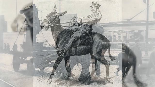 Companions In The Trenches - Animals of World War 1 смотреть онлайн