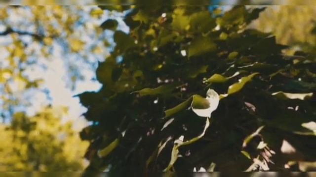 Андрей Обидин - Я тихо в сны твои войду смотреть онлайн