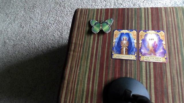 Daily Pick a Card Reading 8.1.22 смотреть онлайн