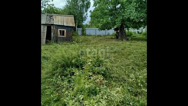 11310413 смотреть онлайн