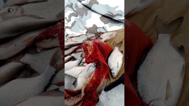 27 января 2024 г. смотреть онлайн