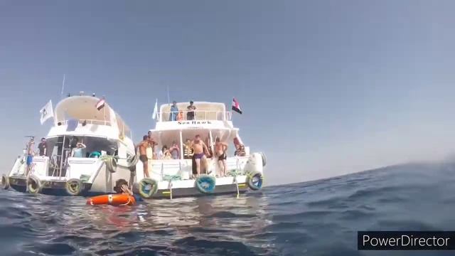 VLOG... ЕГИПЕТ 2020 смотреть онлайн
