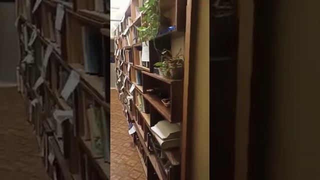 Предлагаем провести выходной день с нами! смотреть онлайн