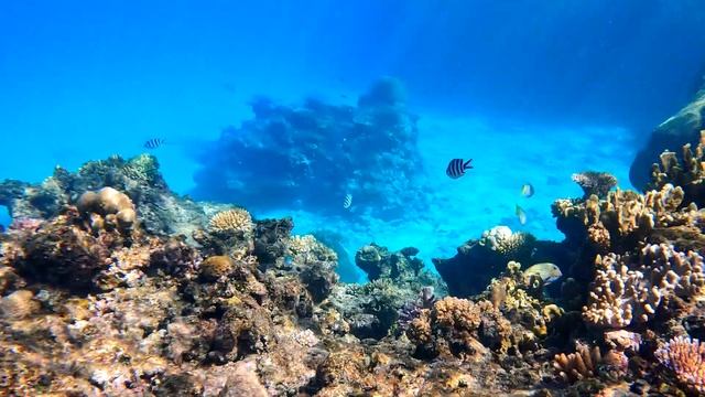 6 Days in Fiji | Tokoriki Island & Denarau [4K] смотреть онлайн