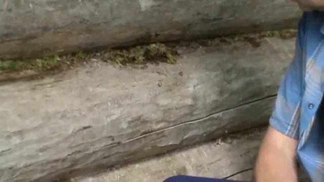 КАК ИЗБАВИТЬСЯ ОТ МУРАВЬЁВ В БАНЕ ! смотреть онлайн