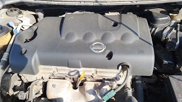 Потеря мощности и за датчика коленвала Nissan Primera P12 и внешний вид автомобиля 2005 года смотреть онлайн