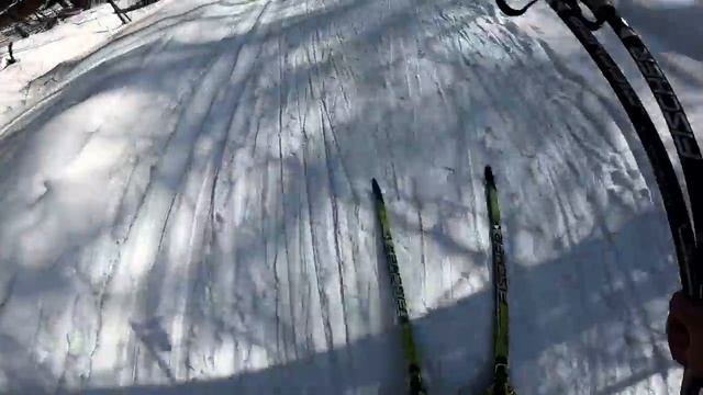 Медведевский лес город Орел Лыжная тренировка смотреть онлайн