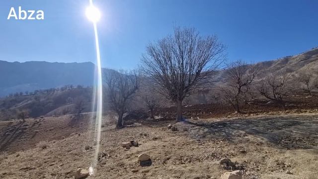 Nomadic Family's City Adventure: Buying Flowers & Plants | Daily Nomad Life 🏙️