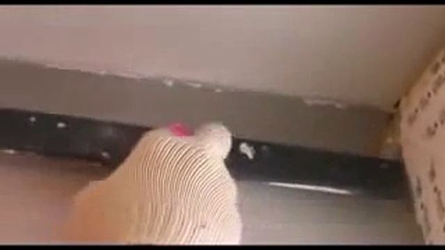 Урок шпаклевки смотреть онлайн