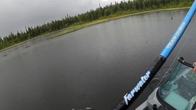 Северная Карелия. Рыбалка. Пяозеро смотреть онлайн