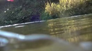 В поисках золота! Путешествие по реке.