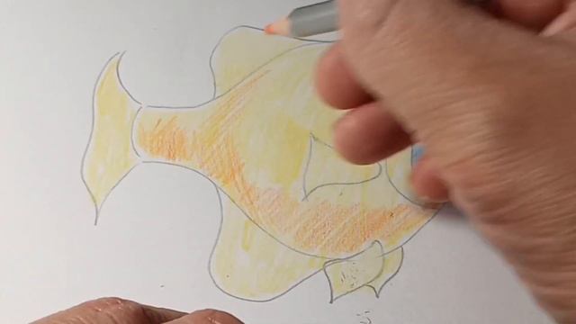 Рыба зебра. Продолжаем учиться рисовать. Zebra fish. We continue to learn to draw смотреть онлайн