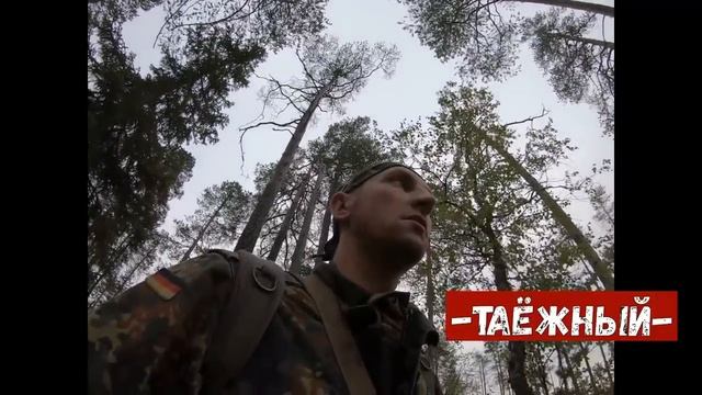 Как ходить по лесу на охоте с лайкой. НОЖ ДЛЯ ОХОТЫ смотреть онлайн