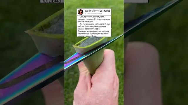 Анекдот про кошку #анекдот #анекдоты #мем #приколы #шутки #шутка #прикол смотреть онлайн