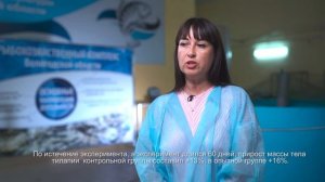 Пивная дробина для кормления рыб: эффективность использования пивной дробины