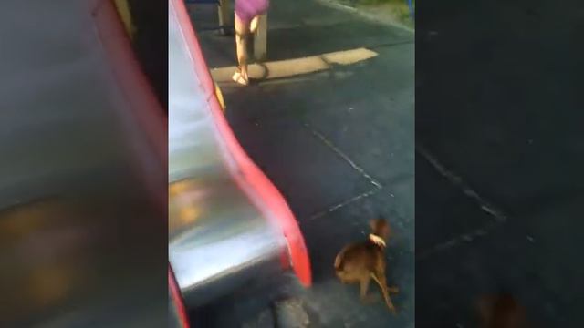 VID 20140804 082002 смотреть онлайн