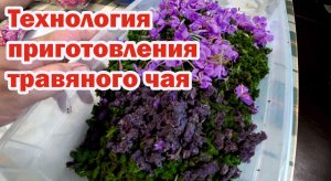 Домашний полезный травяной чай