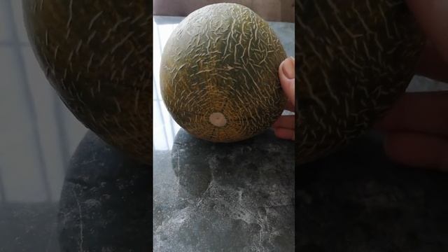 Дозреет ли зелёная дыня, если её сорвали не вовремя.. смотреть онлайн