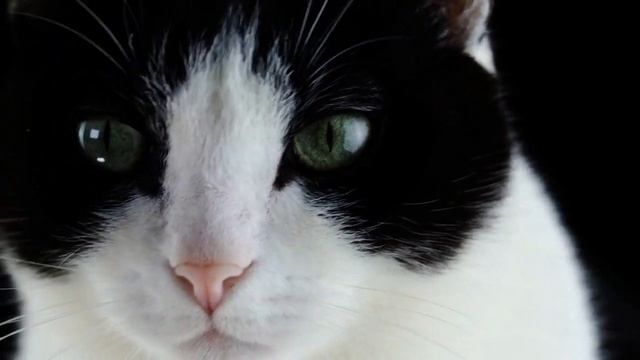 Когда приезжаем к свекрови, она ходит при нас в одном белье смотреть онлайн