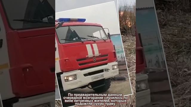 Пожар в Кургане. Горят заброшенные дачные участки и садовые постройки на шоссе Тюнина. Пожар Курган смотреть онлайн