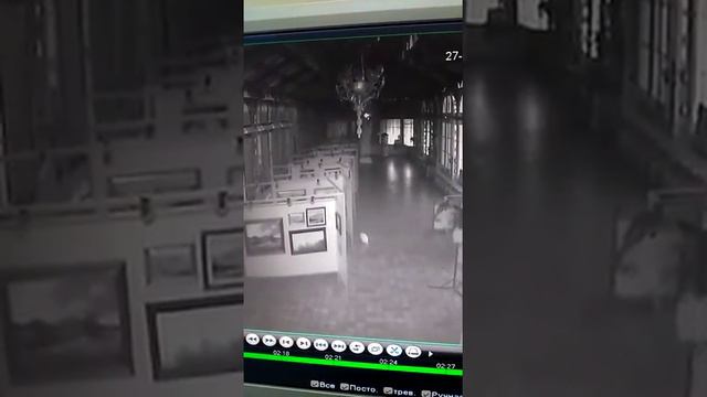 В Железноводске кот стал частым гостем "Пушкинки" смотреть онлайн