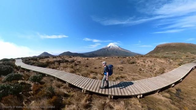 Чем люди занимаются в Новой Зеландии? Скайдайвинг, сёрфинг, походы, сплавы и другие хобби местных смотреть онлайн