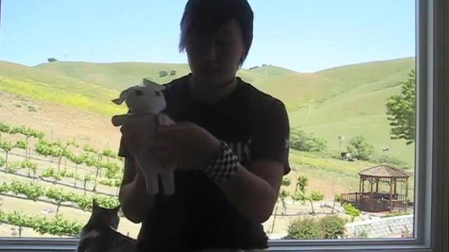 Meet the iPig! смотреть онлайн