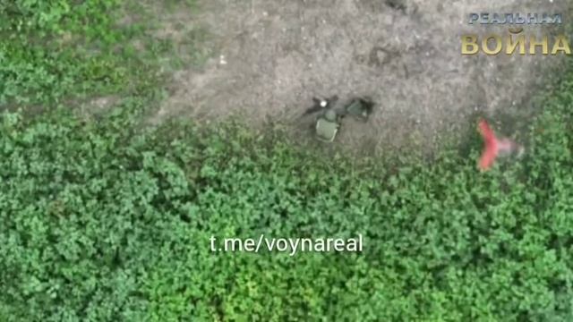 РУССКИЙ СОЛДАТ СЕЛ СРАТЬ И ПОЛУЧИЛ СЮРПРИЗ! смотреть онлайн