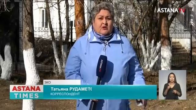 Нашествие клещей в ЗКО: скот на грани массовой гибели смотреть онлайн