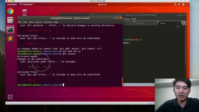 Tut 4 checkout, reset смотреть онлайн