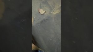 пенопласт+ацетон+ксилол=смотрите сами