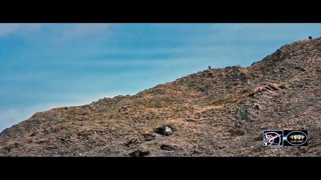 Zonsen Cyclone Rx6 650 v. 2020 - 2024 смотреть онлайн