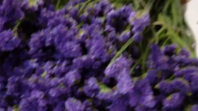 How To Prepare Purple Tissue Statice - lwflowers.com смотреть онлайн