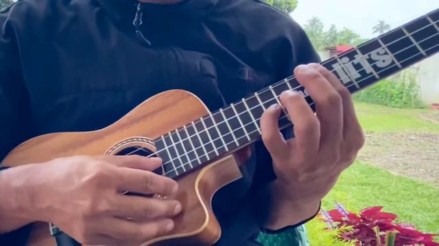 La Vie En Rose (how i met your mother) - Ukulele Finger style Qlits Cover смотреть онлайн