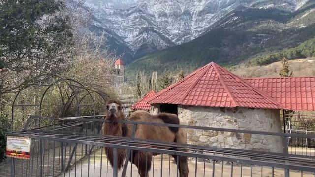 Друзья , ВНИМАНИЕ! Защитим ОЛЕГА ЗУБКОВА! смотреть онлайн