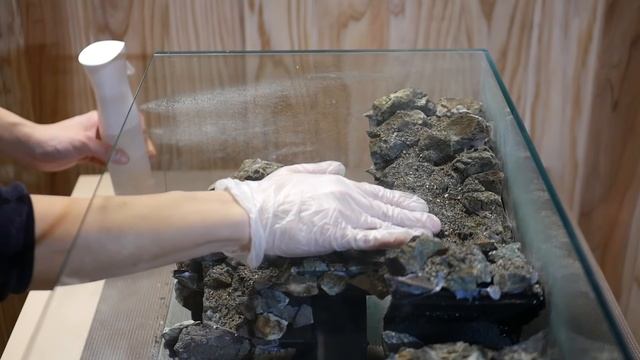 Making An Aquaterrarium With Two Flowing Waterfalls
