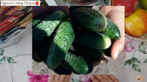 ?"Маг Бор" — эффективное средство для повышения урожайности