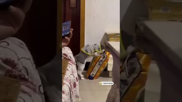 Слово пацана!!!