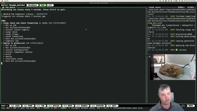 Stream archive: Clearing create article form on submit (2023-10-23) смотреть онлайн