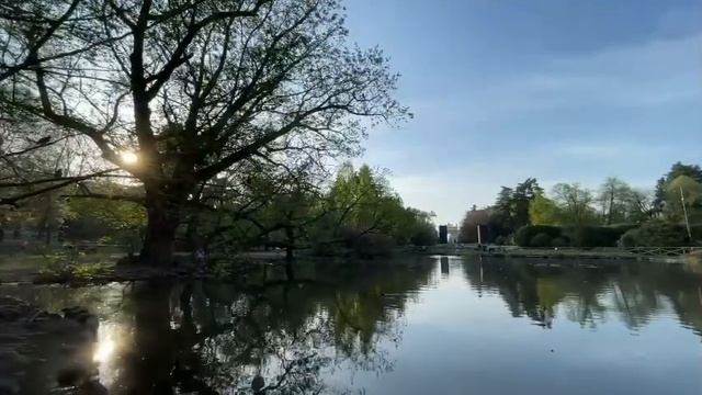 [4K] Sempione Park смотреть онлайн