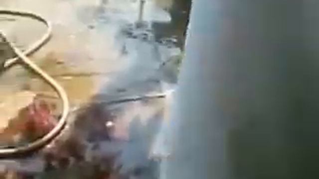 Разделка крокодила-2 смотреть онлайн